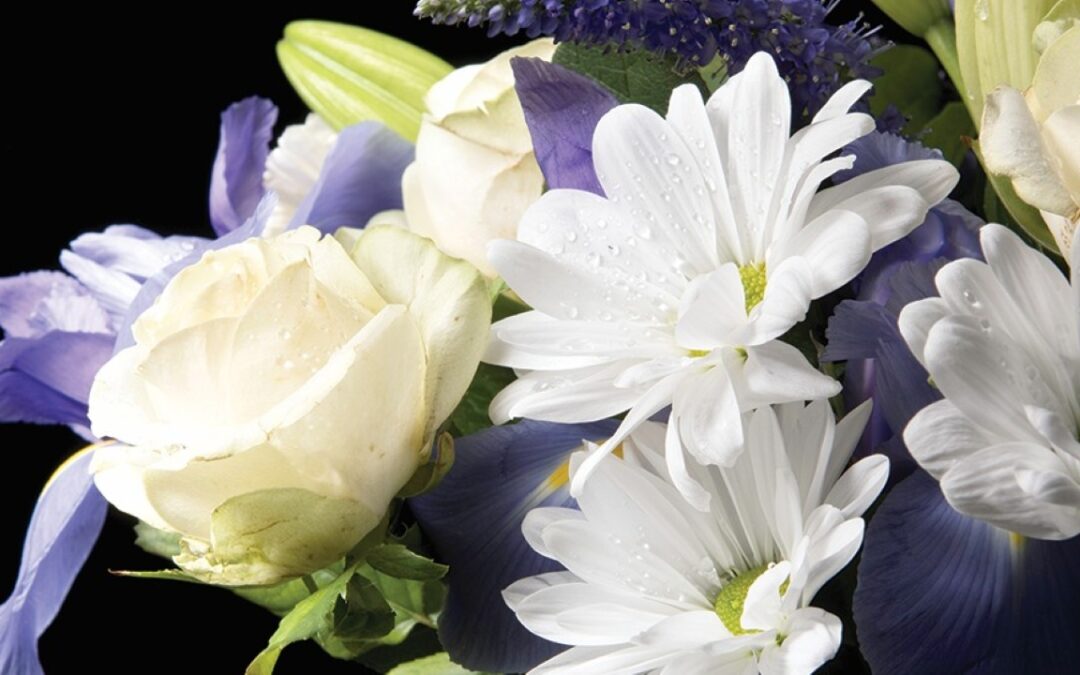 Contact Lancaster Farming Obits